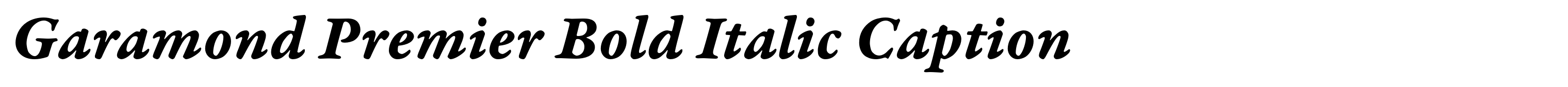 Garamond Premier Bold Italic Caption